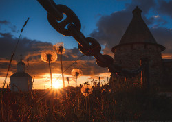 Alex-BAS 
Летний вечер 
90 
2015-08-22 13:55:27