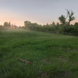 Barhatov 
Утро в Малиновском скиту.. 
2015-08-31 08:17:39