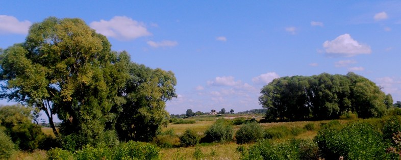 Рюриково городище.Великий Новгород.