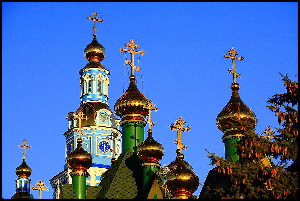Купола