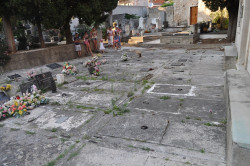 bogdan 
Šibenik (5) 
2015-09-04 23:54:15