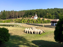 mmaksim 
Параклис 
2015-09-05 14:38:39