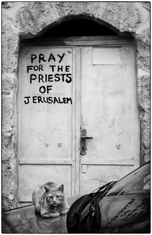 Pray fot the priests of Jerusalem