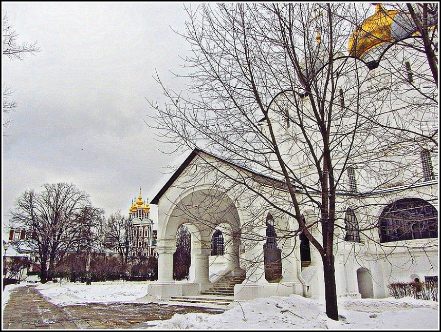 Winter lace   Зимнее кружево