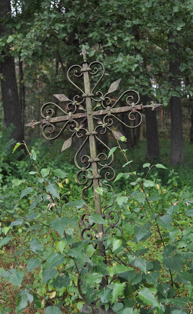 Trześcianka 2015 (4)