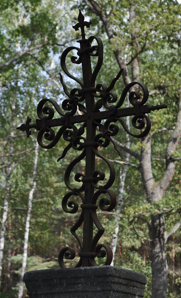 Trześcianka 2015 (8)