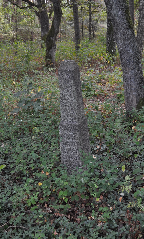 Trześcianka 2015 (9)