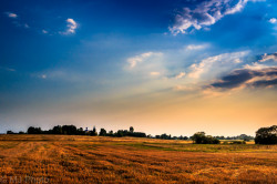 MichalD 
Summer evening over church in Losinka, Poland 
2015-10-01 13:42:28
