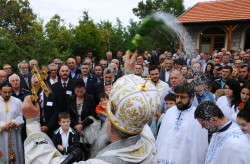 sapuric 
ОСВЕЋЕЊЕ 
2015-10-11 19:36:37