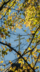 ale 
w złocie 
2015-10-12 20:41:33