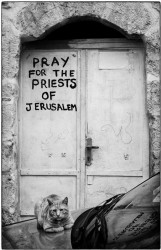 inistea 
Pray fot the priests of Jerusalem 
2015-10-16 22:21:34