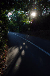 albastru 
întîlnire 
2015-10-19 08:53:28