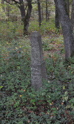 bogdan 
Trześcianka 2015 (9) 
2015-10-25 21:44:33