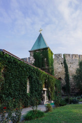 Danuberiverchild 
Ružica 
2015-10-29 22:47:16