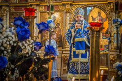 AdrianKazimiruk 
Lubelskiej Ikony Matki Bożej (6) 
2015-11-01 23:58:38