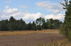 bogdan 
Trześcianka 2015 (13) 
2015-11-05 10:24:58