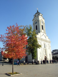 Strahinic 
Црква Св. Ђорђа, Смедерево - St. George Church, Smederevo 
2015-11-14 14:11:40