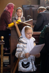 tolmargarita 
Певчая 
2015-11-14 19:38:58