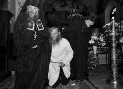 rps 
* EULOGIUSZ * 
2015-11-19 18:22:58