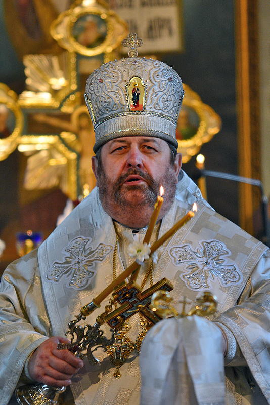Abp Abel