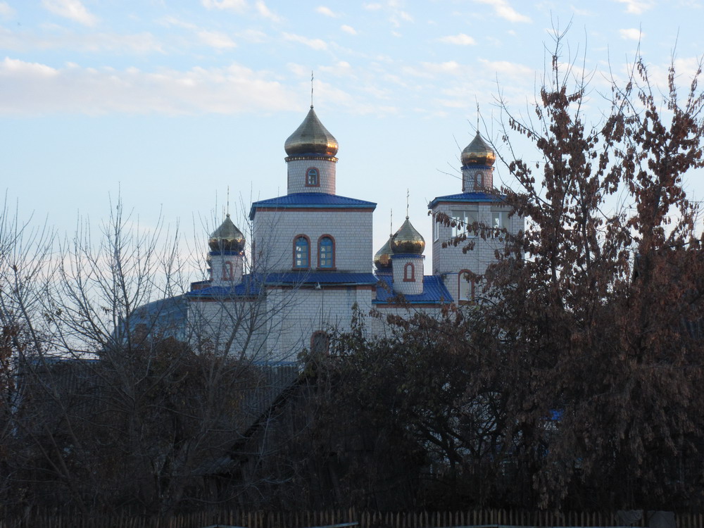 Ветка