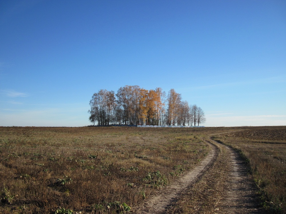  Кастрышча. Могілкі