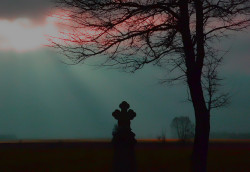 Pit_Zsak_79 
Styczeń 2014. 
69 
2015-12-01 00:49:18