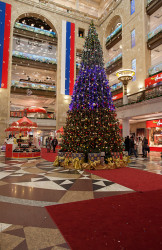 AlexandraP 
Waiting for holidays / В ожидании праздников 
2015-12-21 13:15:30