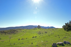 alik 
Jvari Monastery 
2015-12-24 20:02:54