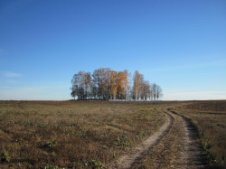 dziatishka 
 Кастрышча. Могілкі 
2015-12-28 15:45:44