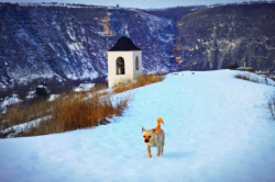 jorjeyorga 
Butuceni iarna!  
2015-12-29 21:42:23