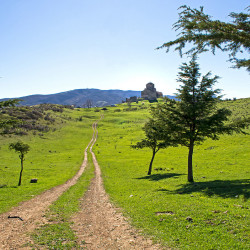 alik 
Jvari Monastery 
2015-12-30 23:12:30