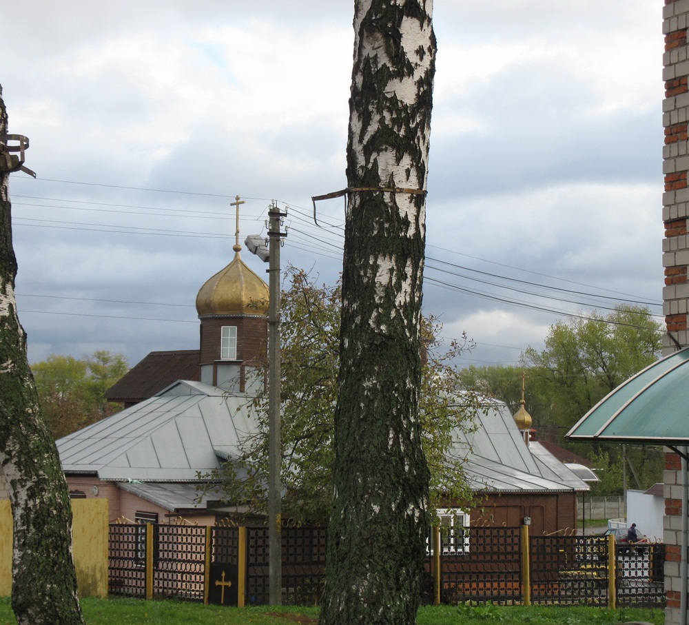 Свята-Мікіцінская царква ў Пакалюбічах