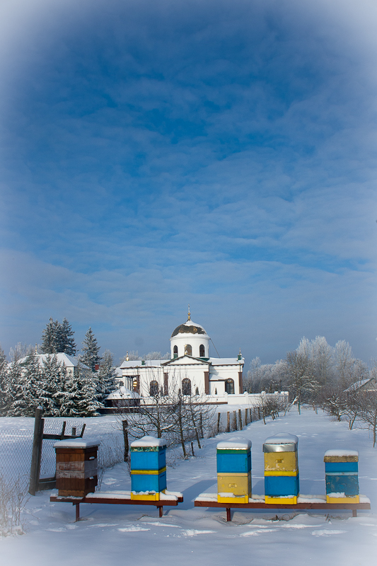 Zima w pasiece