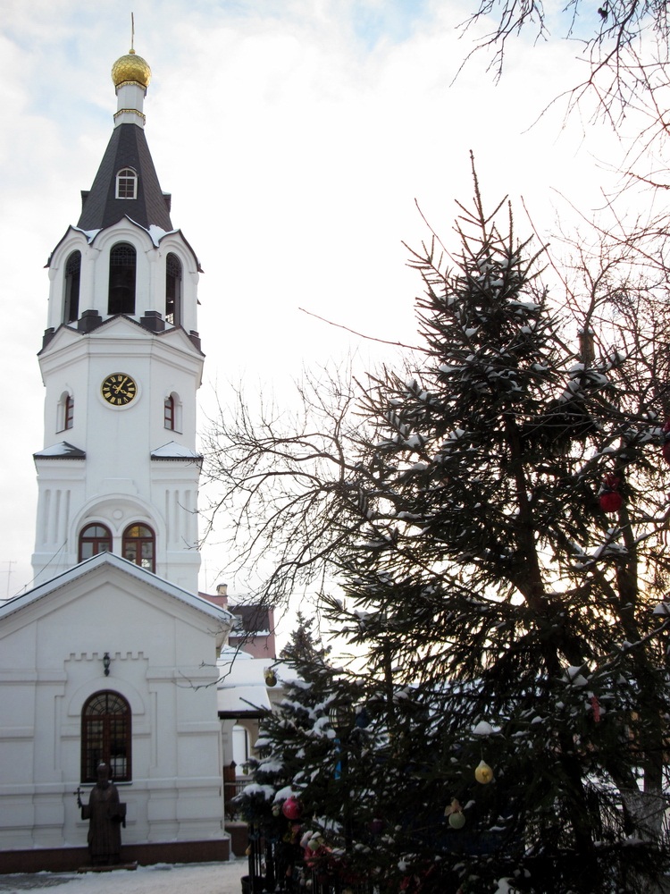 Званіца і елка