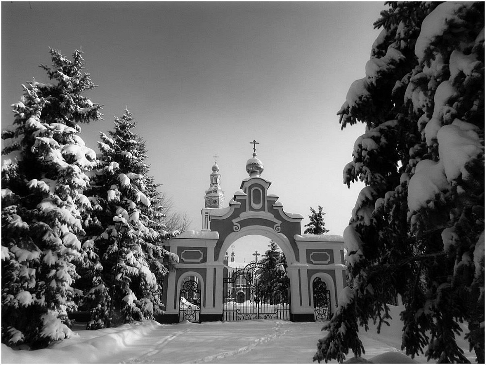 Winter