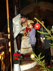 szolucha.w 
Święta eucharystia 
2016-01-08 19:58:20