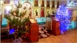 melodie_del_mar 
После праздника 
2016-01-14 16:06:58