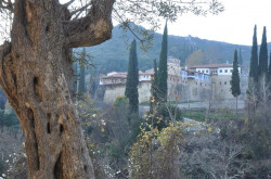 indy 
Greece-Serres-St. Ioannis Prodromos monastery 
2016-01-16 20:56:11