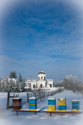 o. Makariusz 
Zima w pasiece 
2016-01-17 13:44:25