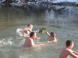 maksim 
За Крст Часни 
2016-01-19 20:47:09