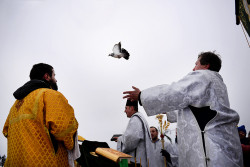 palavos 
Odrynki 2016 
2016-01-25 15:43:26