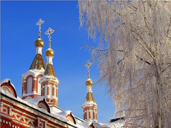 melodie_del_mar 
Зима      Winter 
2016-01-30 18:36:50