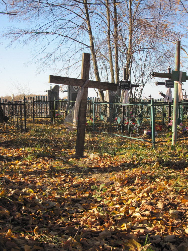 Могілкі ў в. Кастрышча. Напярэдадні Дзімітрыеўскай суботы. 