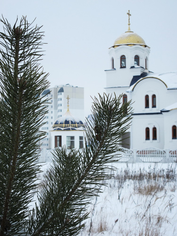 Царква Грузінскай іконы Божай Маці ў Гомелі