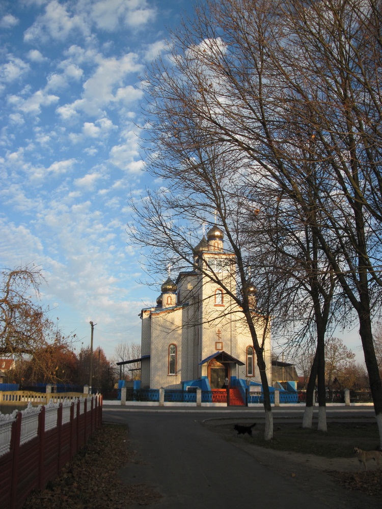 Спаса-Праабраженская царква ў Ветке