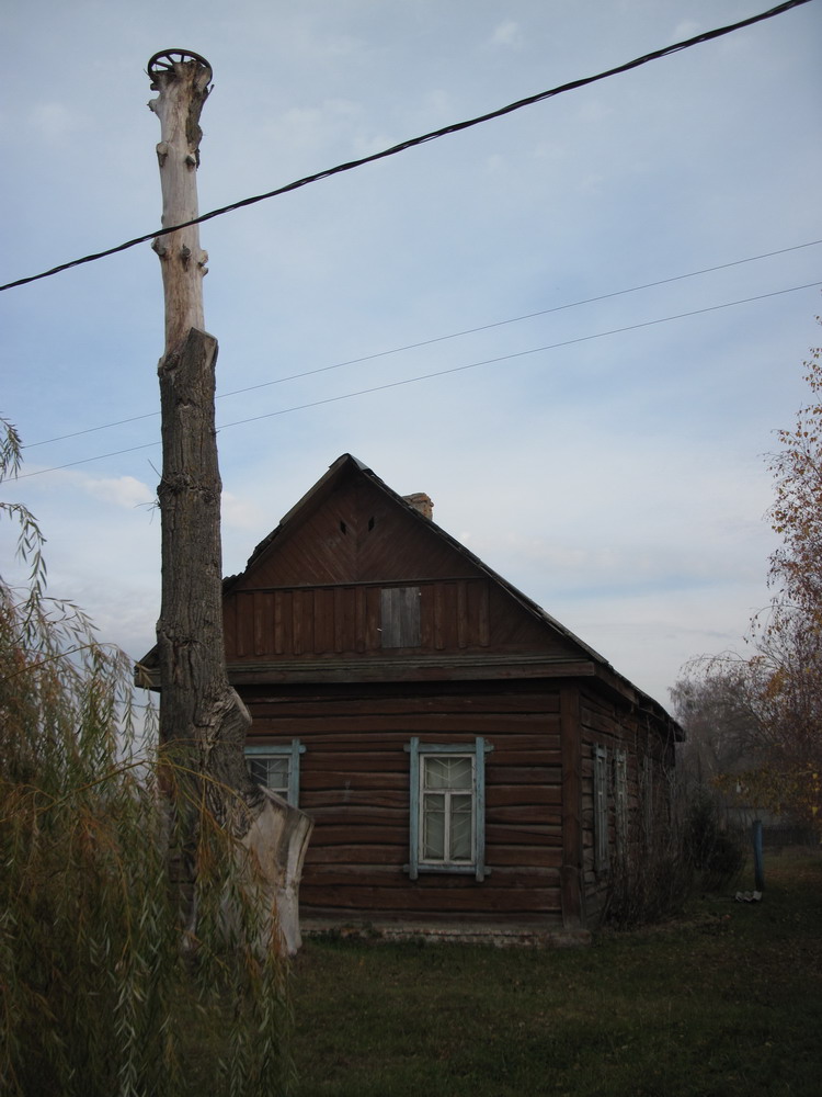 Домік і буслянка каля Свята-Пакроўскай царквы ў Целяшах