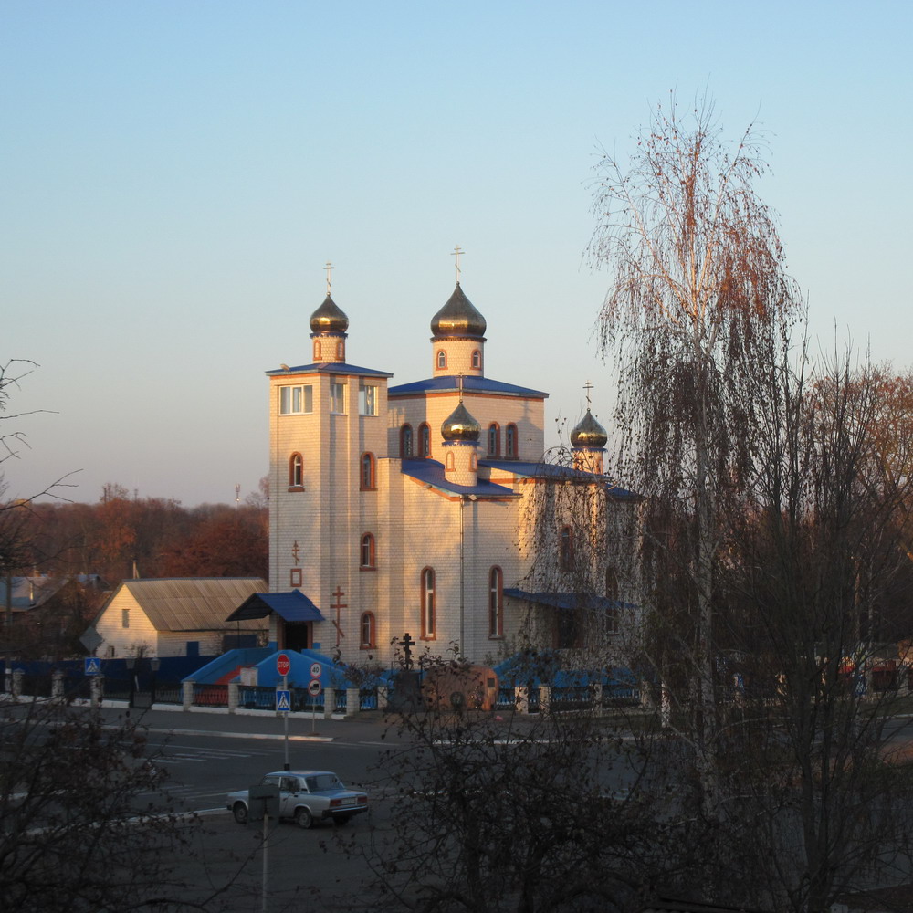Спаса-Праабраженская царква ў Ветке
