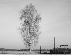 Adam Falkowski 
 
2016-02-24 18:25:07