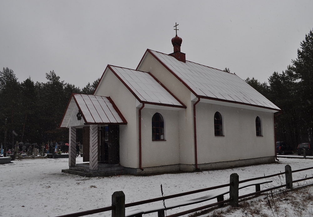 Jelonka (2)